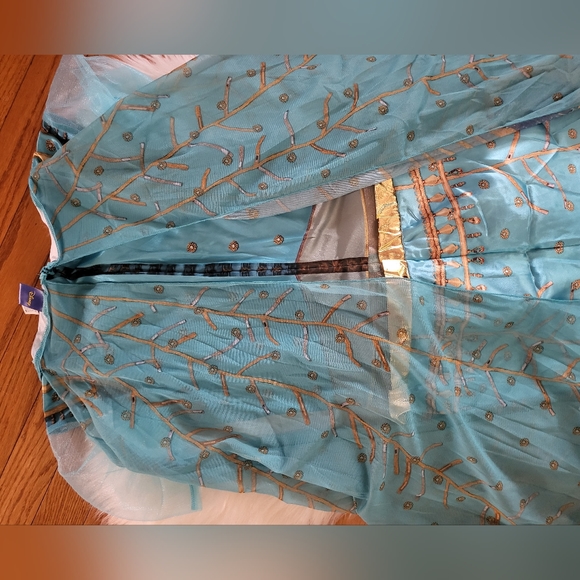 Disney Princes Jasmin Costume 👑🕌🧞‍♂️ - Picture 12 of 16